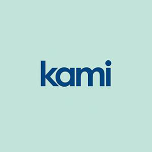 Kami Wk101 Indoor/Outdoor Battery Cam